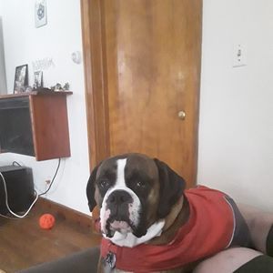 Meet your Posher, Elba